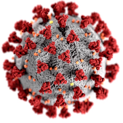 Covid-19 virus model - a round ball will spikes sticking out of it