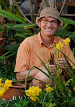 A man plants daffodils in the garden