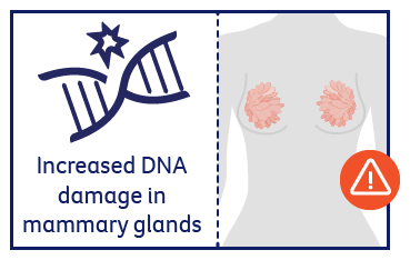 Increased DNA damage in mammary glands