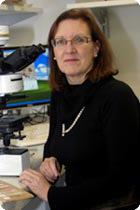 Professor Gail Risbridger