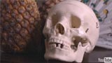 A skull