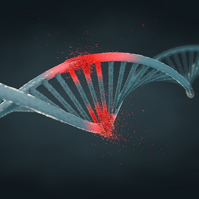 illustration of a strand of DNA
