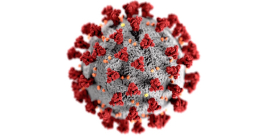 Covid-19 virus model - a round ball will spikes sticking out of it