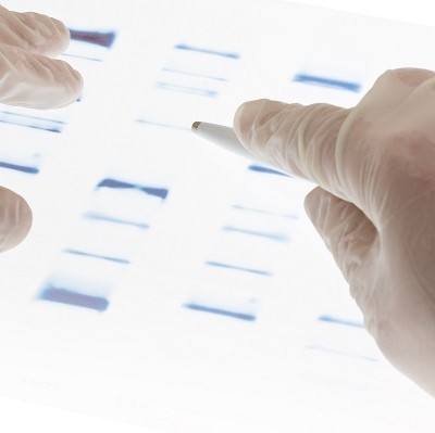 Research benefits from insurers' ban on genetic test results