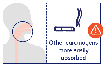 Other carcinogens more easily absorbed