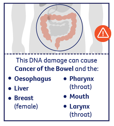DNA damage can cause cancer of the bowel, oesophagues, liver, breast, mouth, pharynx, larynx