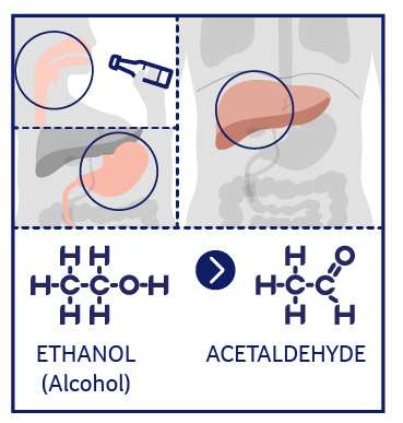 Ethanol converts to acetaldehyde