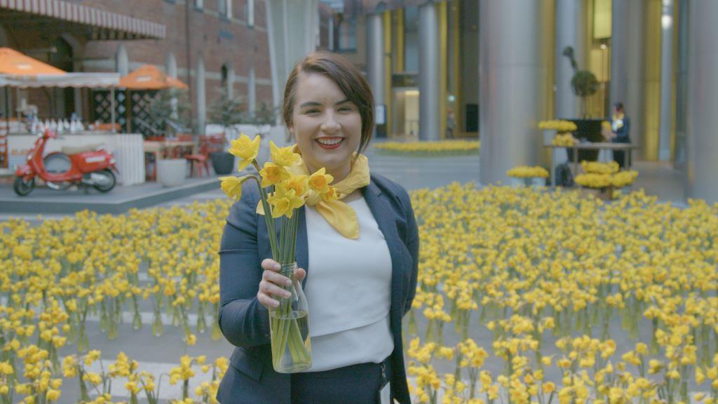 A sea of daffodils at Rialto to support Daffodil Day in 2018