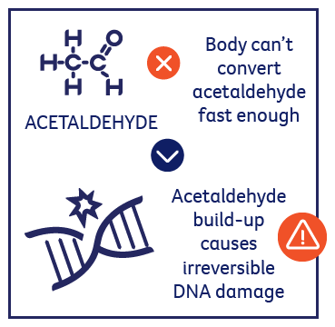 Acetaldehyde build-up causes DNA damage